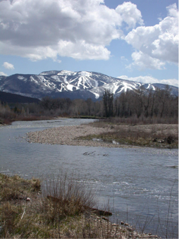 Yampa River